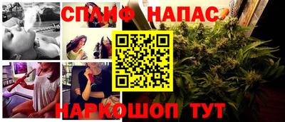 трава Краснодар