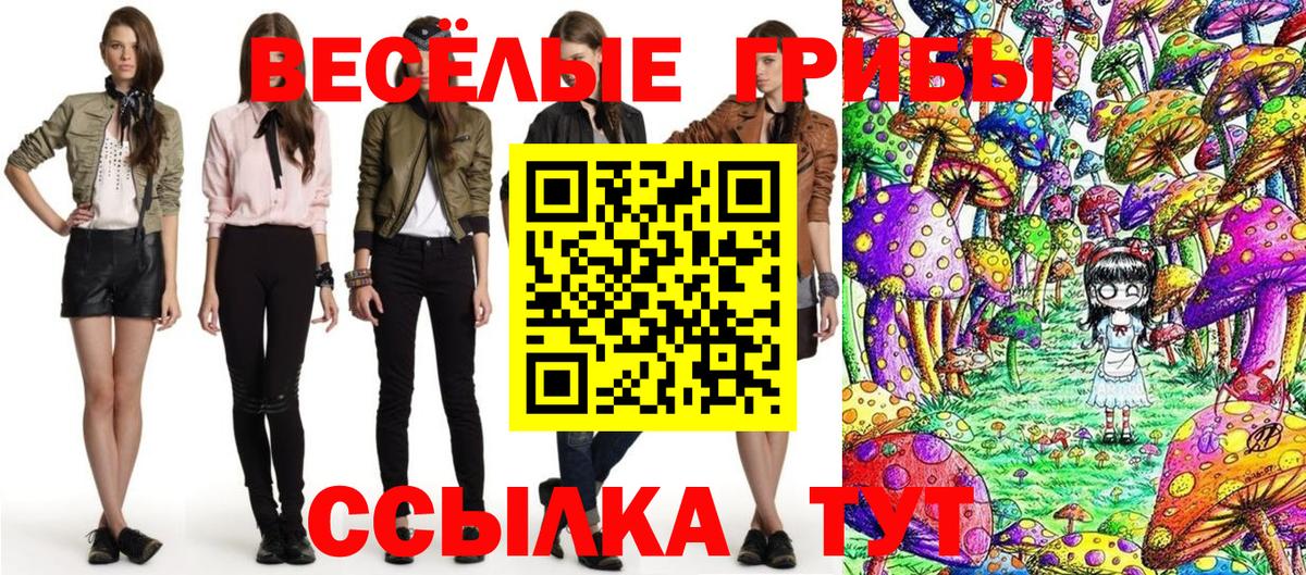 Конаково  Псилоцибиновые грибы ЛСД  Вход с VPN 